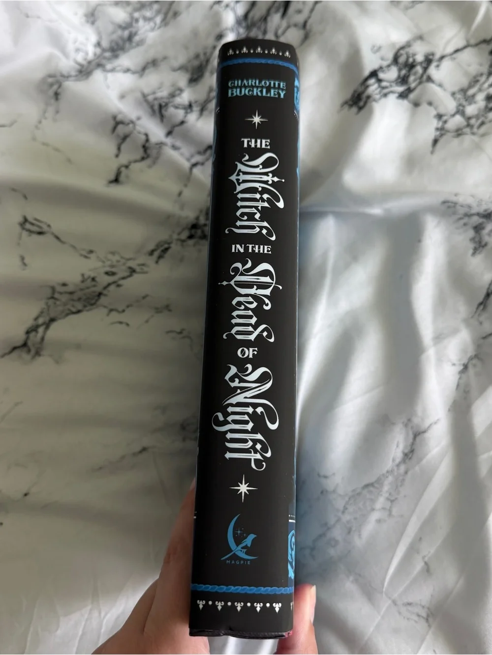 Fairyloot | NWT The Witch in the Dead of Night Book